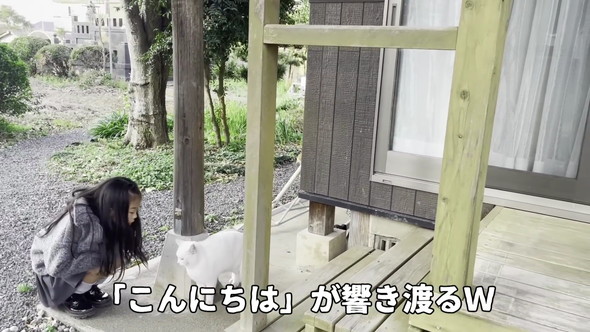 猫にあいさつ教える娘