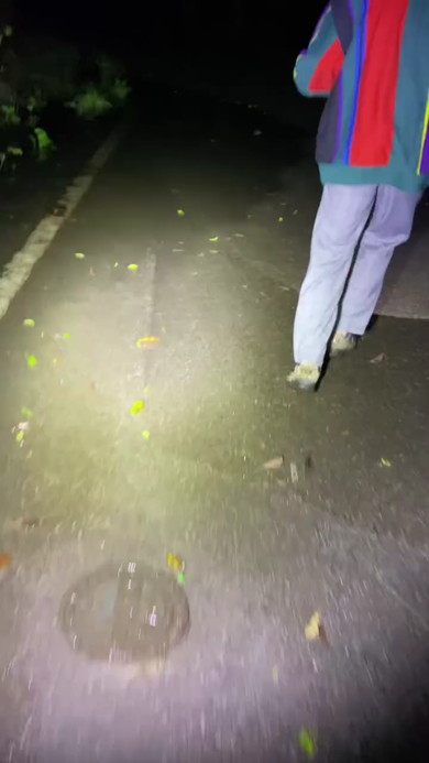 雨の後の道路