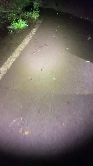 雨の後の道路