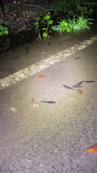 雨の後の道路
