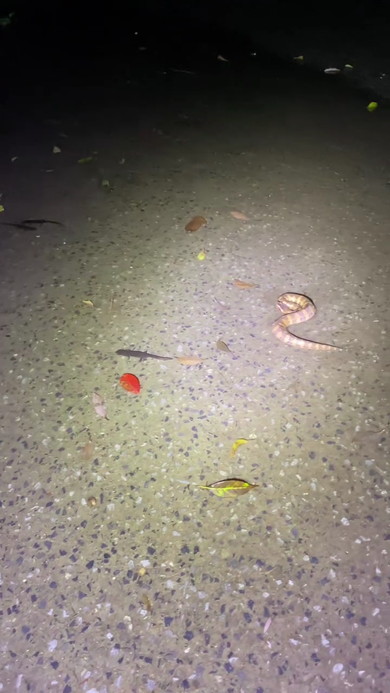 雨の後の道路