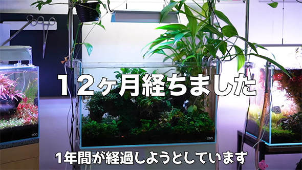 12カ月たちました