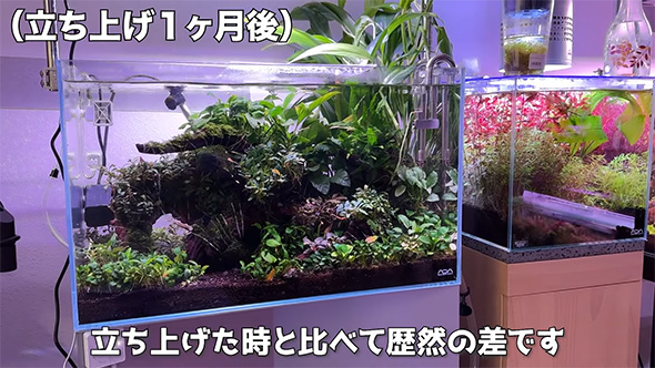 立ち上げ1カ月後