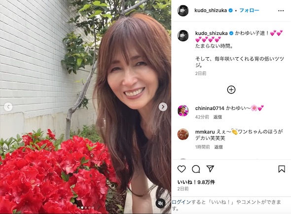 赤いツツジと工藤さん