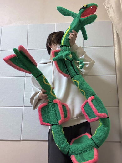 羊毛フェルト製のレックウザ