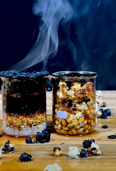 1000度の金属球をお米とトウモロコシの種の上においてみたら