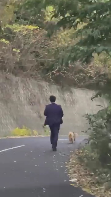 国道で犬保護1年