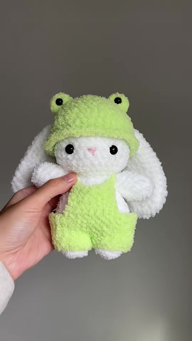 カエルの着ぐるみ姿のウサギのあみぐるみ