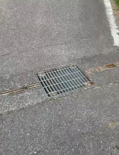 どこからか唸り声が聞こえる