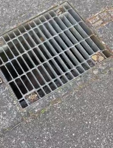 声が聞こえる排水溝に近づいてみると