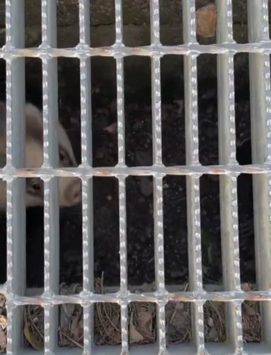 「あっ、なんかすみません」の表情