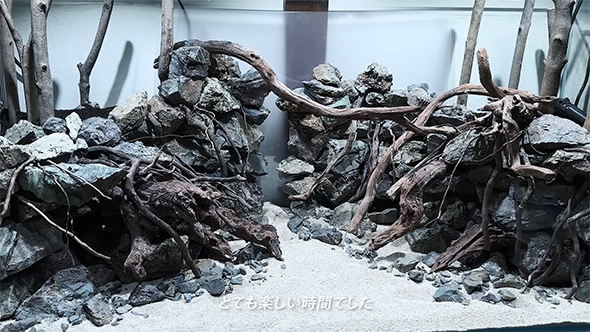 レイアウト完成