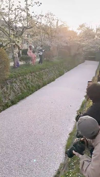 花筏に直面したカモの意外な行動