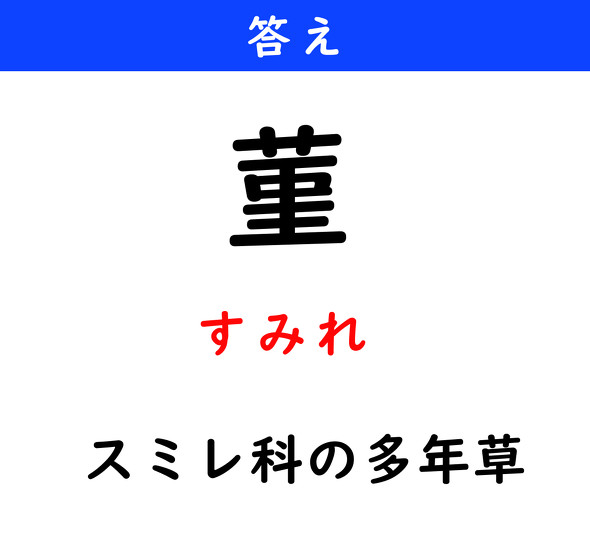 漢字クイズ　難読漢字　菫