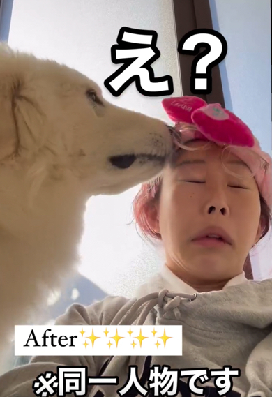 まくらくんにされるがままだなママさん