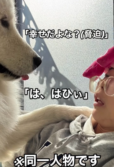 ワンコに振り回されても幸せそうなママさんなのでした