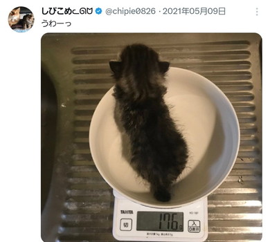 体重を計る