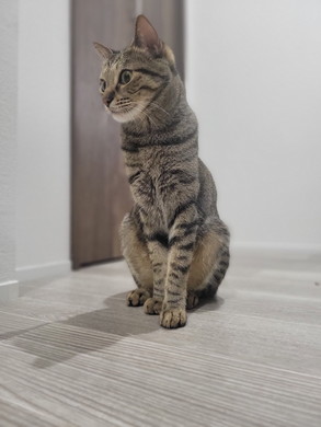 現在