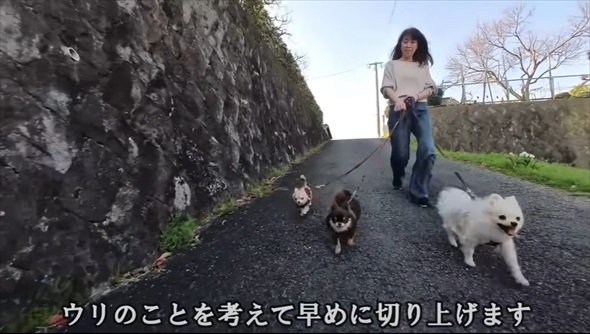 天国にいる先代犬にそっくりなワンコをお迎えしたら