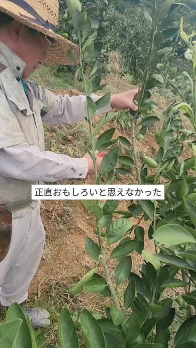 農園で働く男性