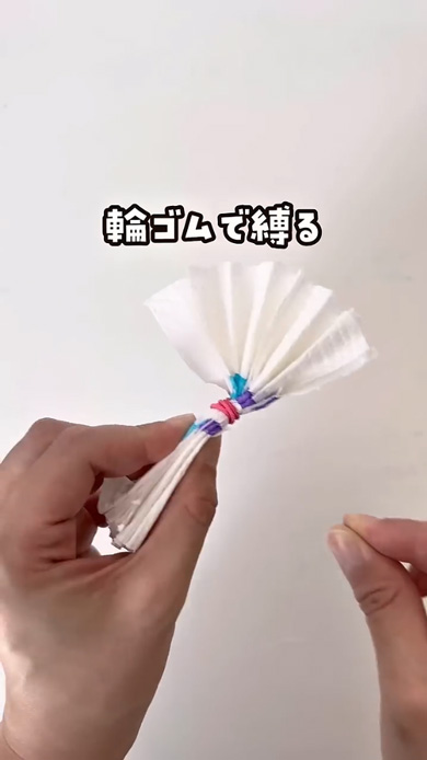 キッチンペーパー 輪ゴム 色づく 花