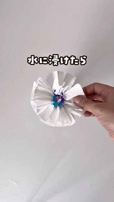 キッチンペーパー 輪ゴム 色づく 花
