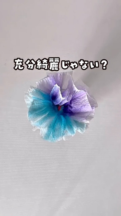 キッチンペーパー 輪ゴム 色づく 花