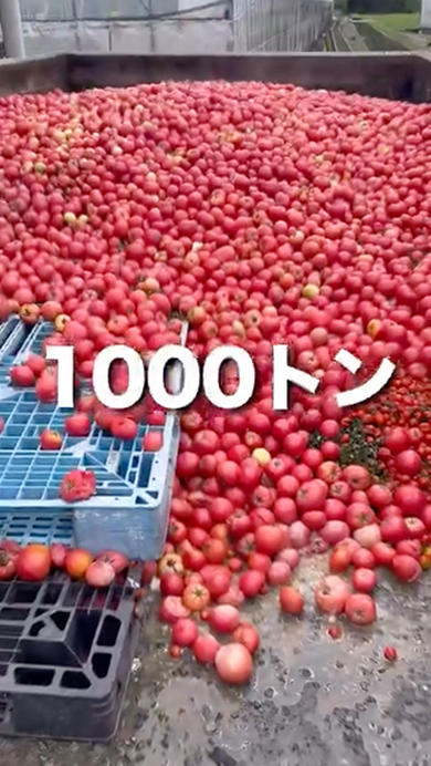 規格外のトマトを食べたカバの反応