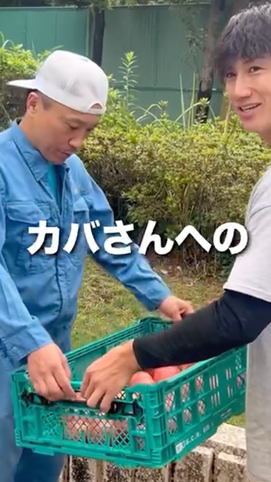 規格外のトマトを食べたカバの反応