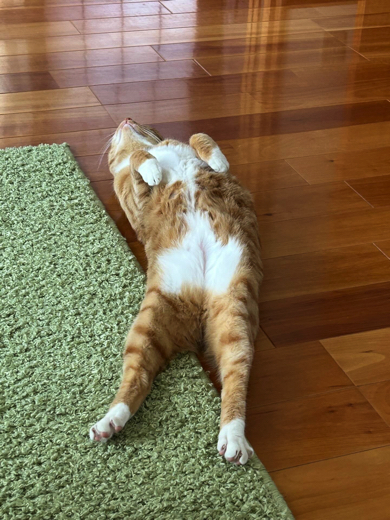 足をピーンさせ完全にリラックスモード