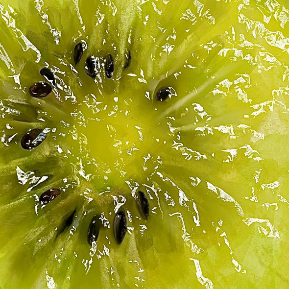 キウイフルーツ 超写実絵画