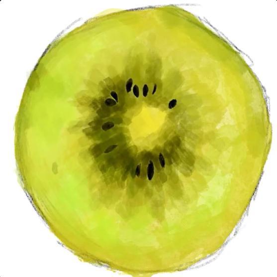 キウイフルーツ 超写実絵画