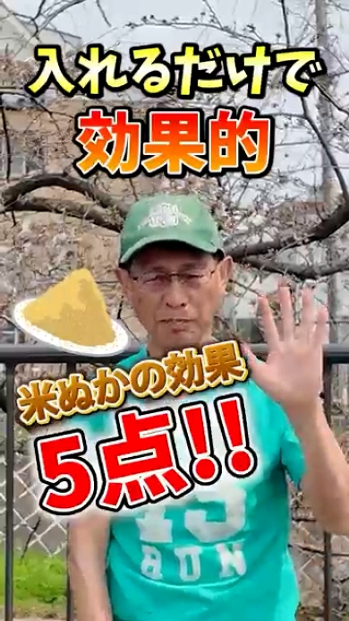 冒頭