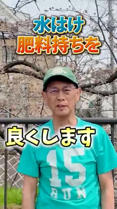 効果1水はけ