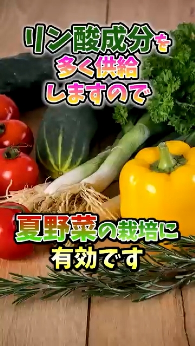 効果3リン酸