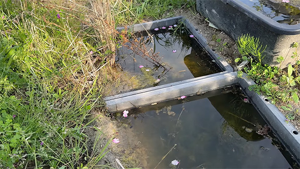 湿地帯ビオトープ