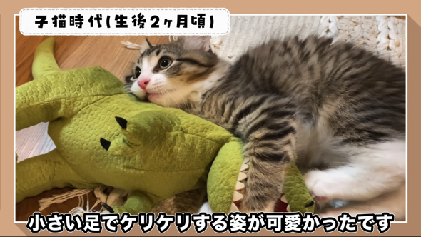 ぬいぐるみと戦うことにハマっていました