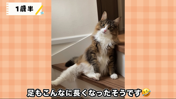 足もすらっとしてきた1歳半ごろ