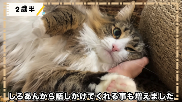 おしゃべりが上手になってきた2歳半ごろ