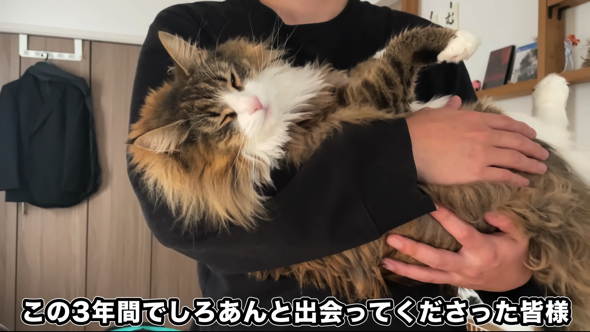 飼い主さんの腕いっぱいの大きさに