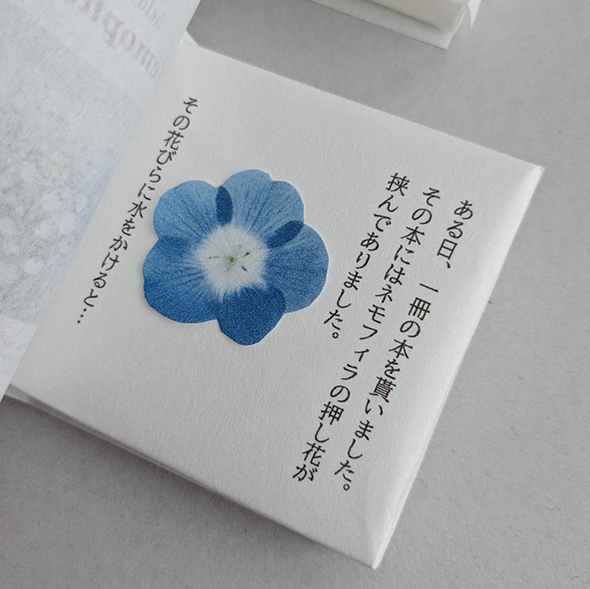 ネモフィラ絵本の絵本に水をかけると……