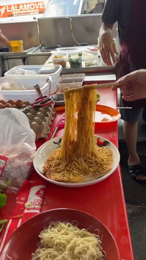 重力に逆らう麺