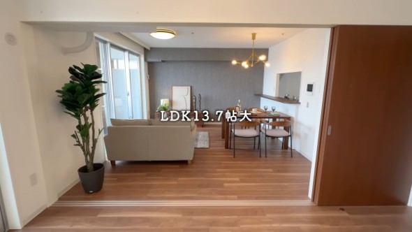 LDK13.7帖大と表示された、明るく開放的なリビングダイニング。中央にはグレーのソファと木製ダイニングテーブル、左手前には大型の観葉植物が配置されている。
