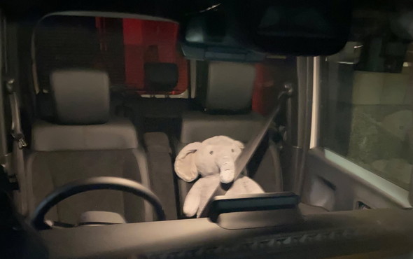 助手席に座るゾウさんのぬいぐるみ