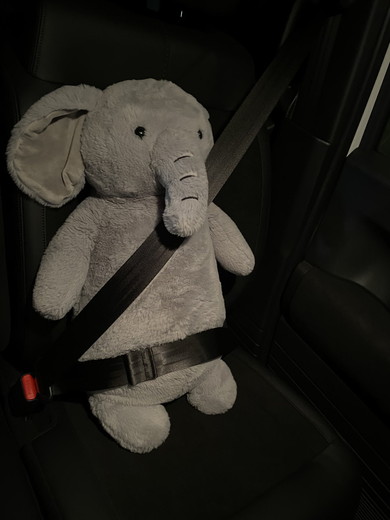 助手席に座るゾウさんのぬいぐるみ