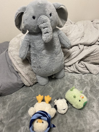 ゾウさんのぬいぐるみ