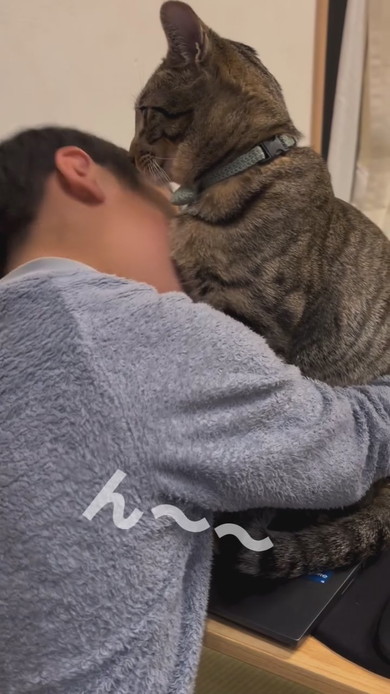 ノートパソコンの上に乗る猫ちゃん