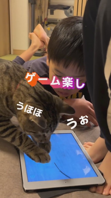 圧をかける猫ちゃん