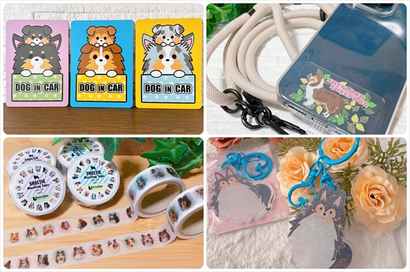 ミモザの女神みたいに撮れた愛犬シェルティ