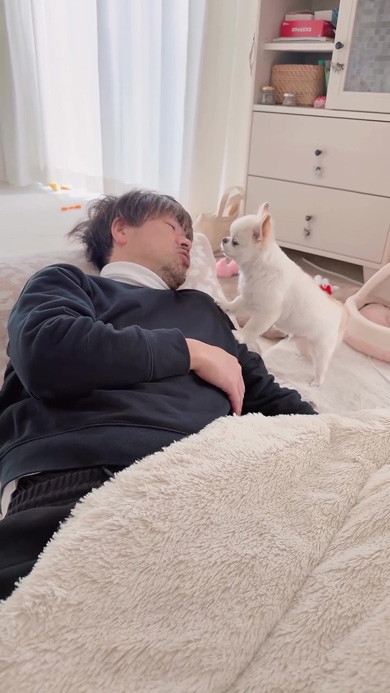 パパを見つめるワンコ